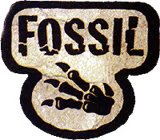 Fossil