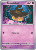 Pumpkaboo 040/086 from Pokemon TCG Chaos Rising